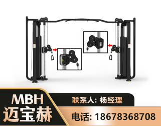 湛江大飞鸟训练器