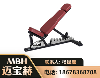 湛江可调哑铃椅