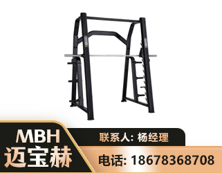 湛江史密斯机